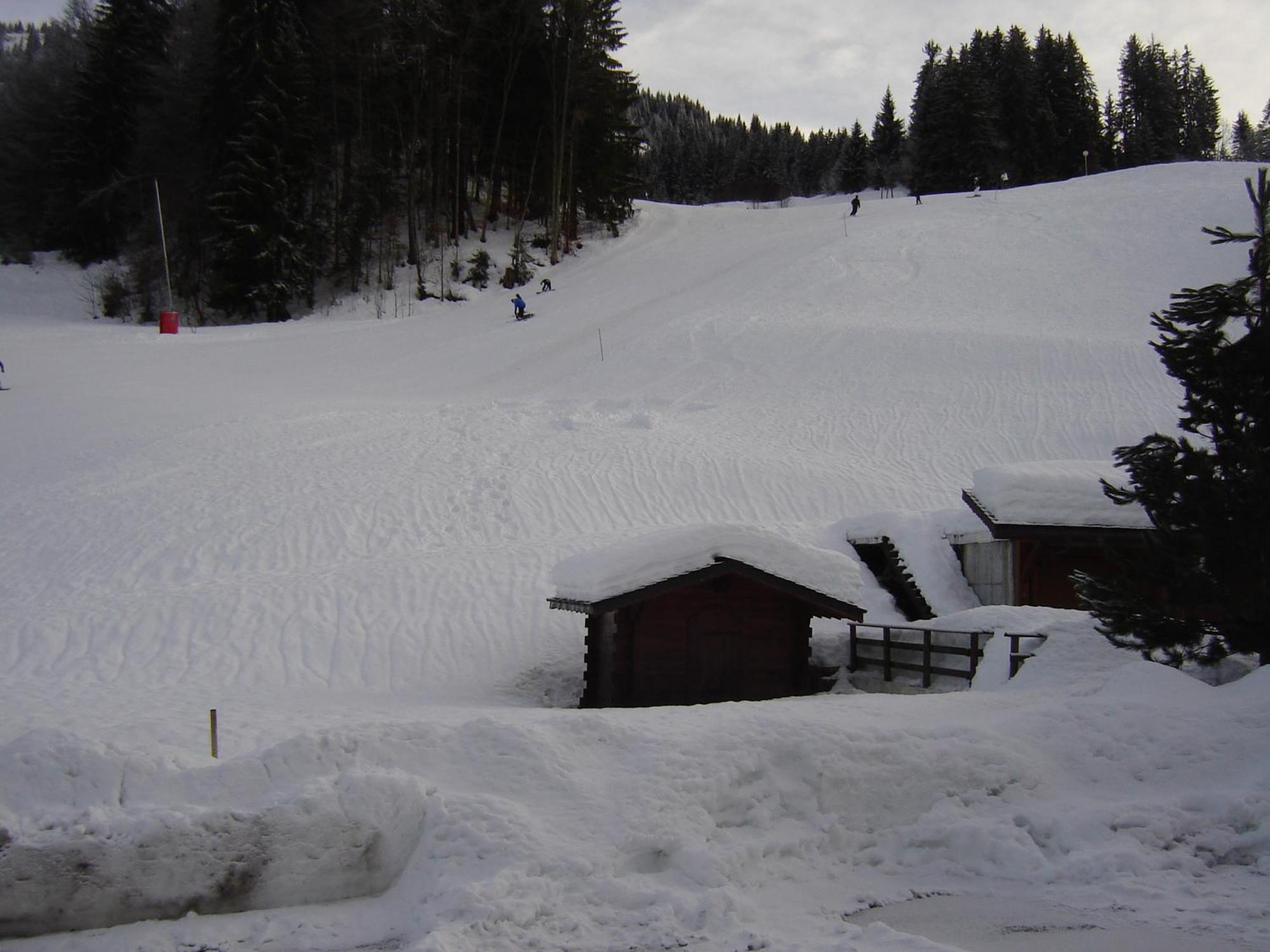 Hotel Les Bernards Praz-sur-Arly Dış mekan fotoğraf